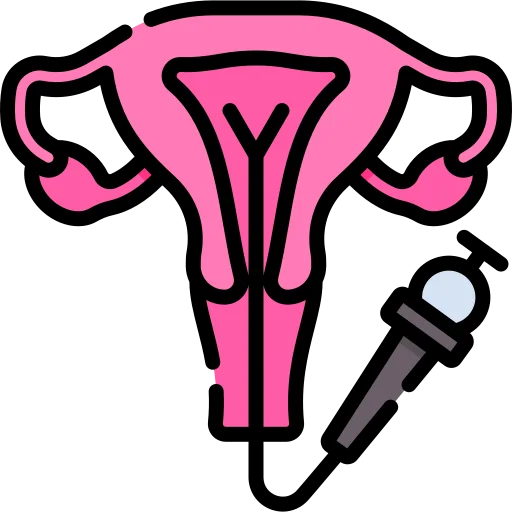 Hysteroscopy Surgeries