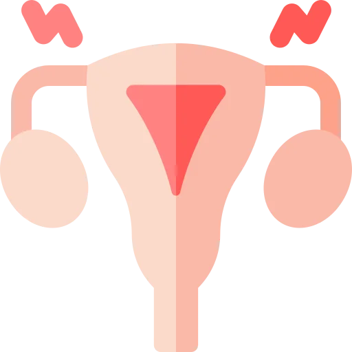 Menstrual Problems​