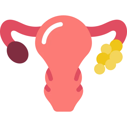 uterus